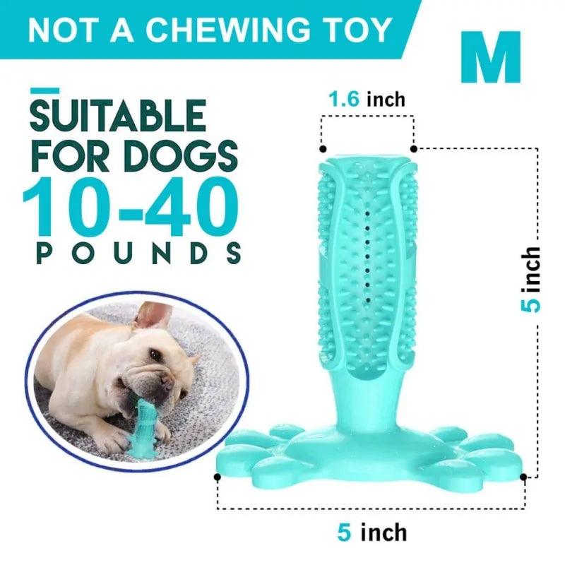 Meat-Flavored Dog Toothpaste and Dog Toothbrush - Oral Agency