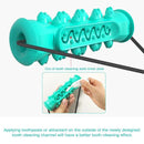 Dog Chew Toothbrush Toy - Oral Agency