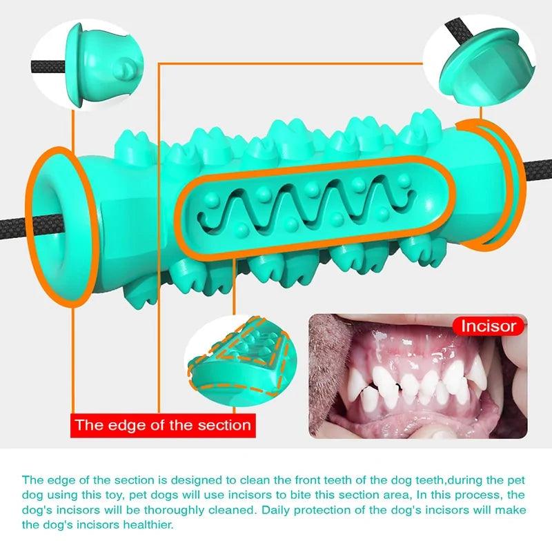 Dog Chew Toothbrush Toy - Oral Agency