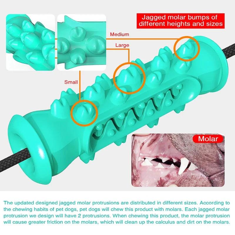 Dog Chew Toothbrush Toy - Oral Agency