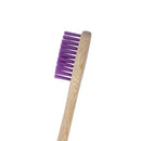 Eco-Friendly Biodegradable Brush Head & Bamboo Electrical Toothbrush - Oral Agency