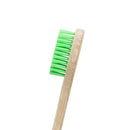 Eco-Friendly Biodegradable Brush Head & Bamboo Electrical Toothbrush - Oral Agency