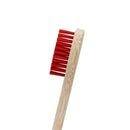 Eco-Friendly Biodegradable Brush Head & Bamboo Electrical Toothbrush - Oral Agency