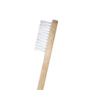 Eco-Friendly Biodegradable Brush Head & Bamboo Electrical Toothbrush - Oral Agency