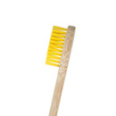 Eco-Friendly Biodegradable Brush Head & Bamboo Electrical Toothbrush - Oral Agency