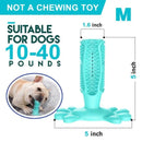 Meat-Flavored Dog Toothpaste and Dog Toothbrush - Oral Agency