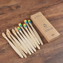 Colorful Toothbrush Natural Bamboo - Oral Agency