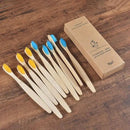 Colorful Toothbrush Natural Bamboo - Oral Agency